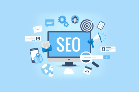 Seo Specialist